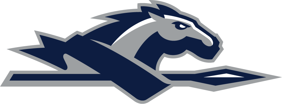 Longwood Lancers 2014-Pres Secondary Logo diy DTF decal sticker